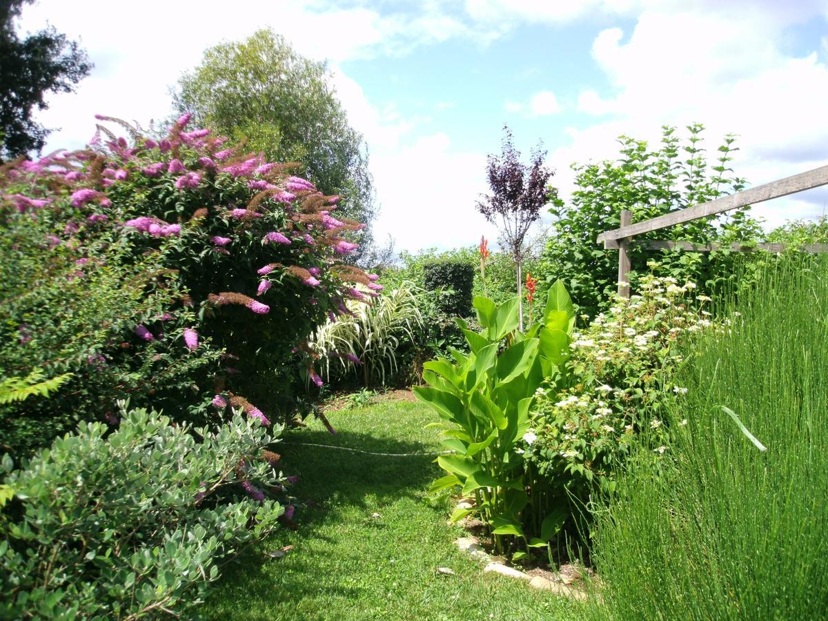 Bed and Breakfast Le Bord De L'Eau Sainte-Terre Экстерьер фото